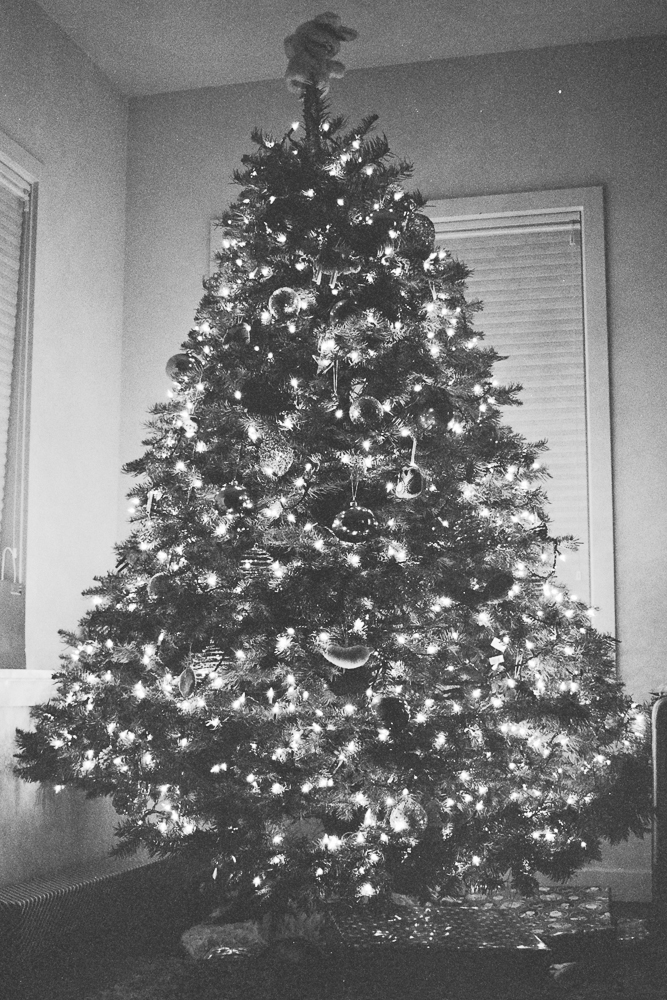 Autosave-File vom d-lab2/3 der AgfaPhoto GmbH