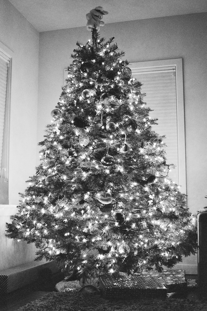 Autosave-File vom d-lab2/3 der AgfaPhoto GmbH