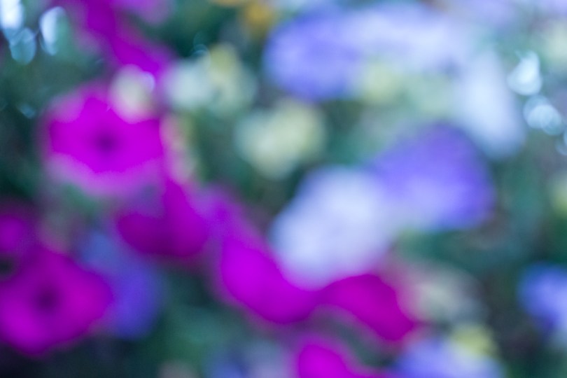 KAC_2013_07_30_0012-2