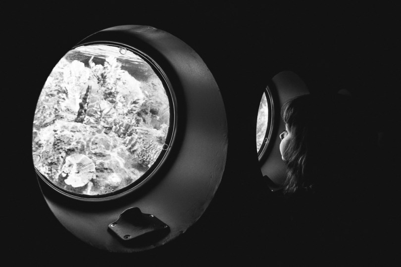 KAC_2013_10_25_0035-2