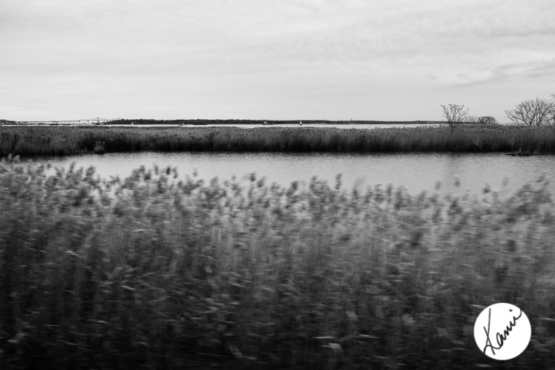 KAC--20141125 - 0134