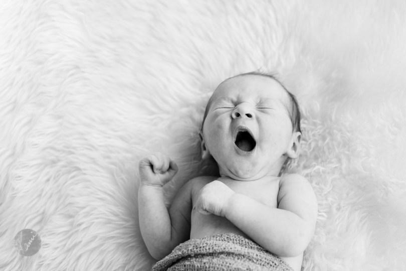 KAC_2014_01_16_0209-2