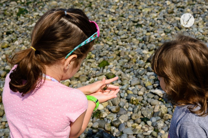 Summer-1-May 29, 2015