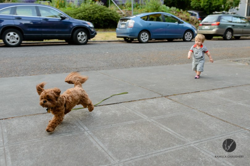 Summer-1-May 30, 2015